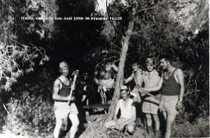 Palica - E- Divers 022